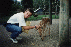 This is Bambi Taken at a Nature Park, I am feeding him